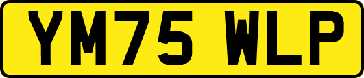 YM75WLP