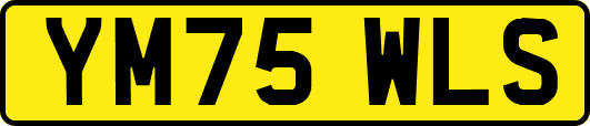 YM75WLS
