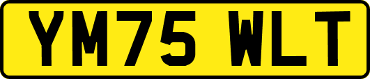 YM75WLT