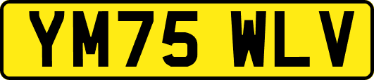 YM75WLV