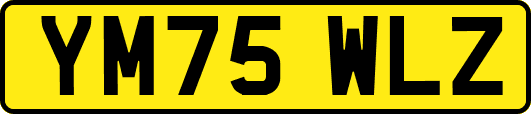 YM75WLZ