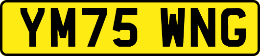 YM75WNG