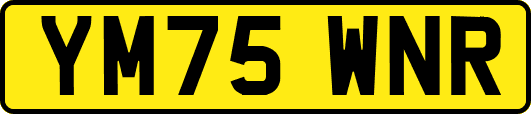 YM75WNR