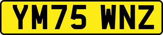 YM75WNZ