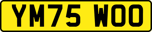 YM75WOO