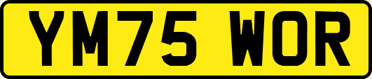 YM75WOR