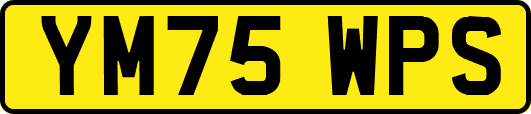YM75WPS