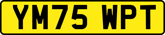 YM75WPT