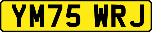 YM75WRJ