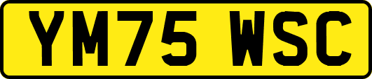 YM75WSC