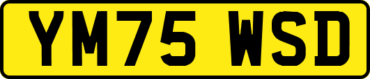 YM75WSD