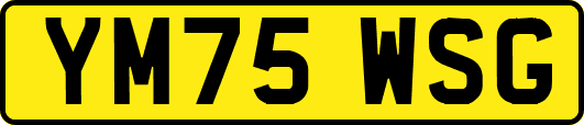 YM75WSG