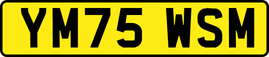 YM75WSM