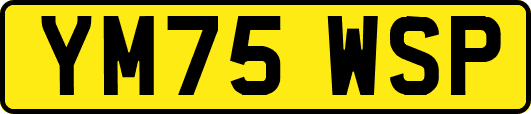 YM75WSP