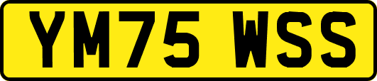 YM75WSS