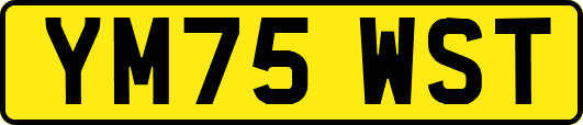 YM75WST