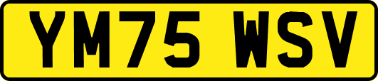 YM75WSV
