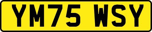 YM75WSY