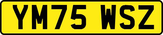 YM75WSZ