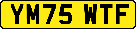 YM75WTF