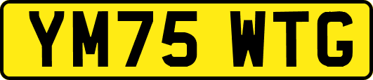 YM75WTG