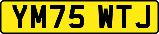 YM75WTJ