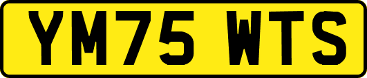 YM75WTS