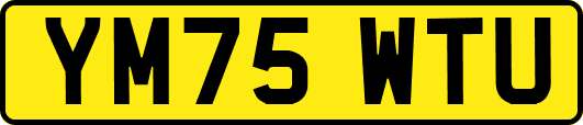 YM75WTU