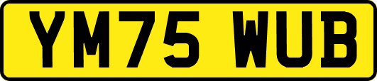 YM75WUB