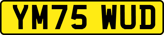 YM75WUD