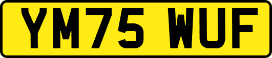 YM75WUF