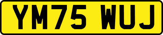 YM75WUJ