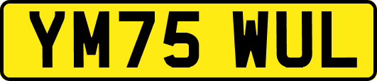 YM75WUL