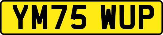 YM75WUP