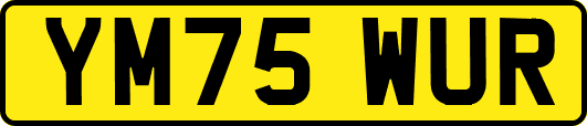 YM75WUR