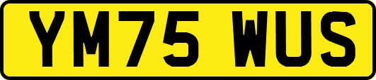 YM75WUS
