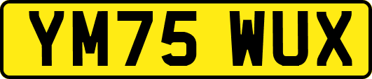 YM75WUX