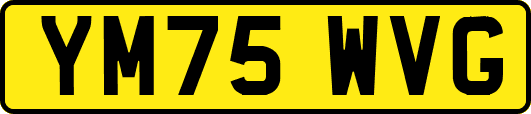 YM75WVG