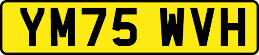 YM75WVH
