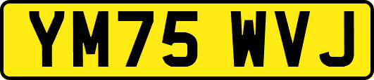 YM75WVJ