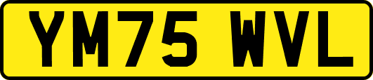 YM75WVL