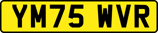 YM75WVR