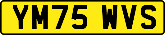 YM75WVS