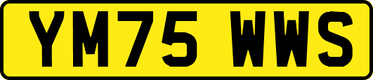 YM75WWS
