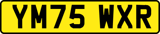 YM75WXR
