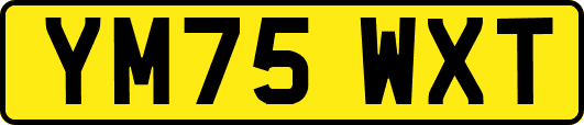 YM75WXT