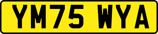YM75WYA