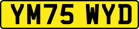 YM75WYD