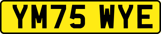 YM75WYE