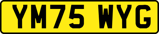 YM75WYG